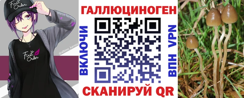 Псилоцибиновые грибы GOLDEN TEACHER  Кировск 